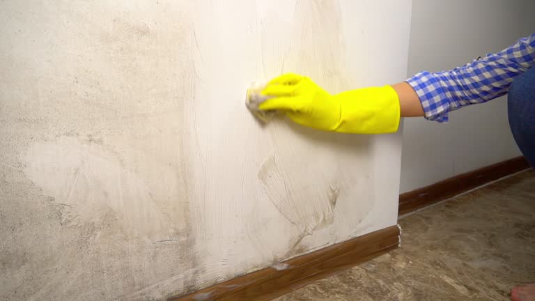 Best Mold Prevention Services  in Wilder, KY
